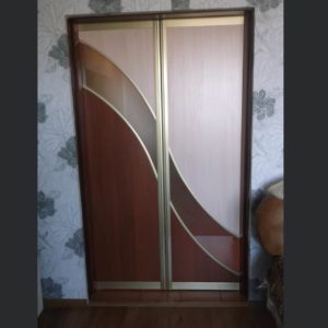 дверь купе двухстворчатая под заказ